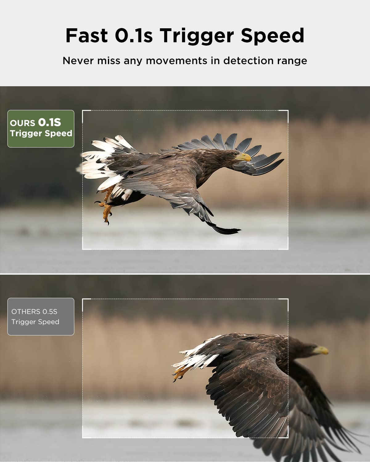 CEYOMUR CY95 Solar-Wildkamera mit 0,1s Auslösegeschwindigkeit