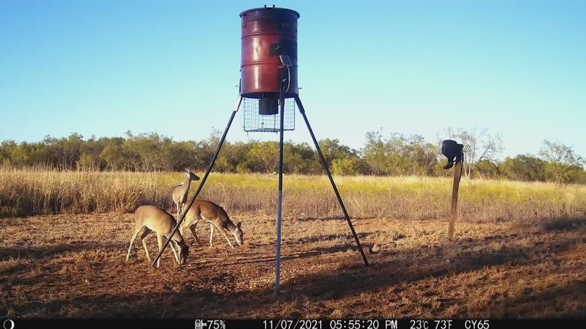 CEYOMUR CY65 WiFi Trail Camera
